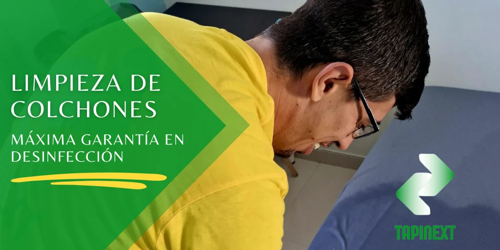 Limpieza de colchones a domicilio precio